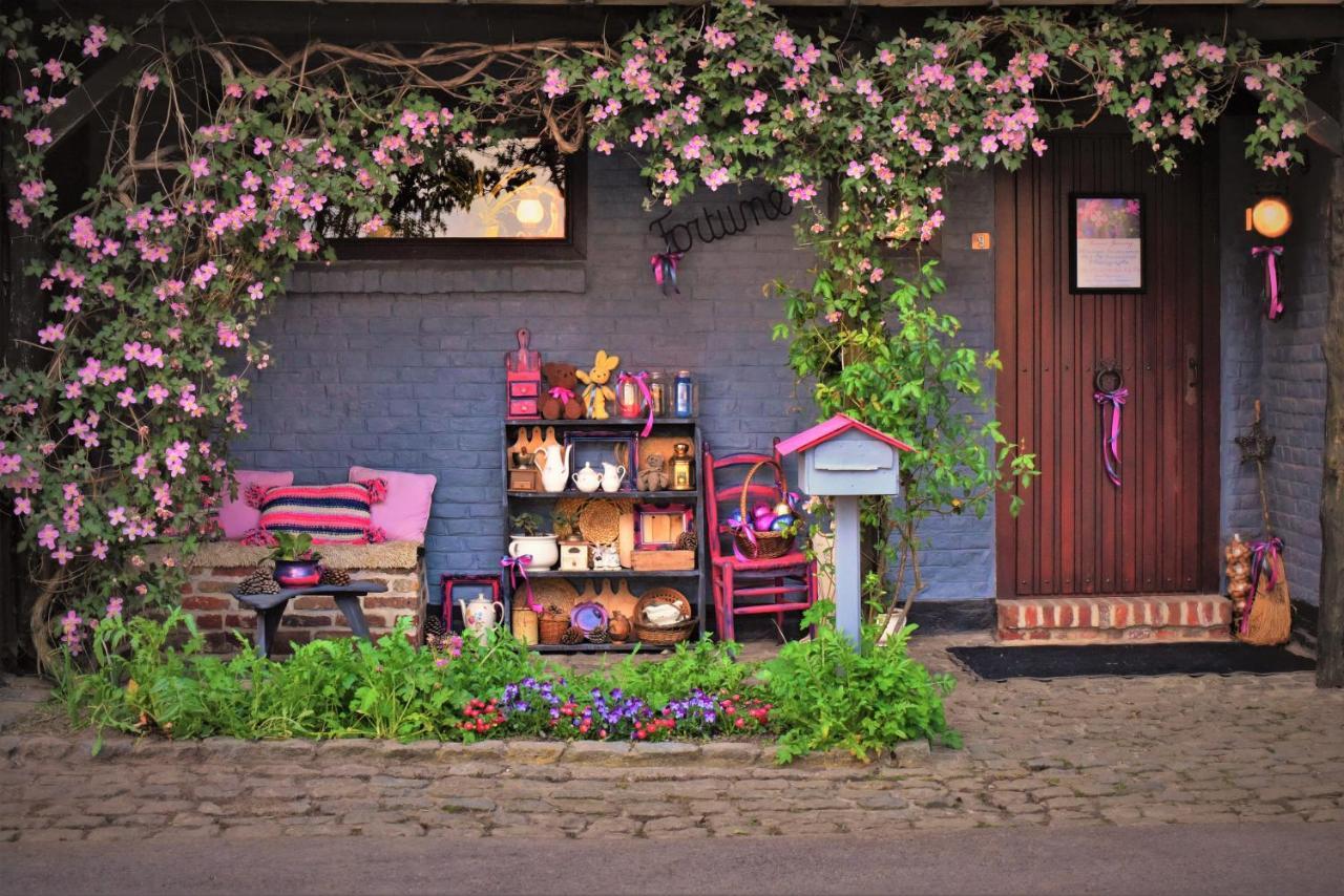 Maison Jeanny, Full House With Big Garden Frasnes-lez-Anvaing ภายนอก รูปภาพ