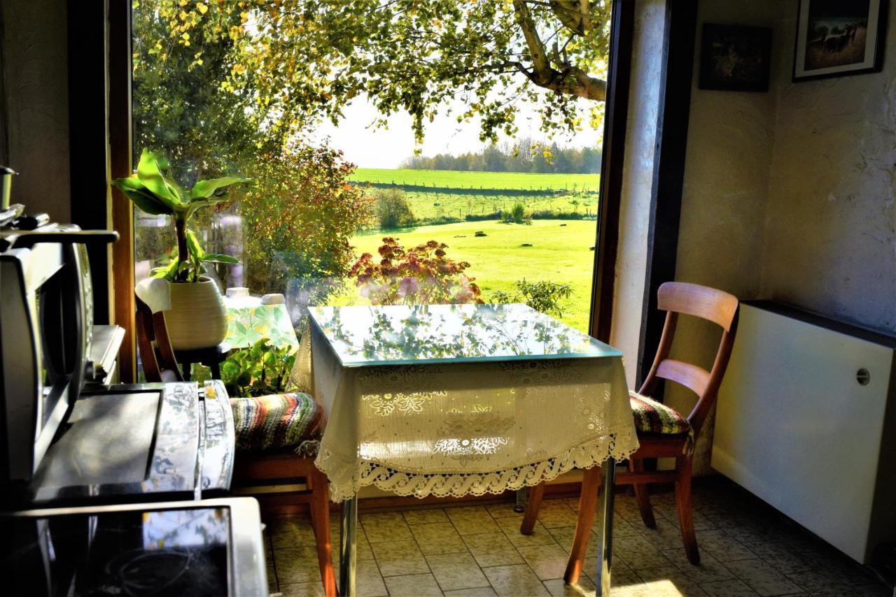 Maison Jeanny, Full House With Big Garden Frasnes-lez-Anvaing ภายนอก รูปภาพ